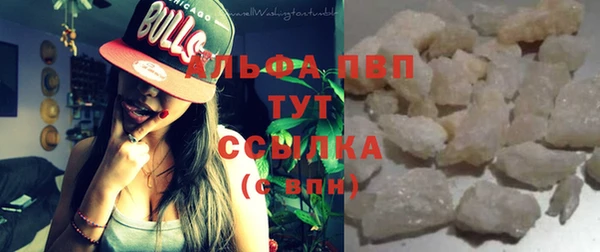 сатива Аркадак