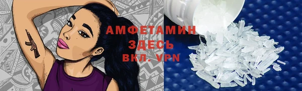 сатива Аркадак