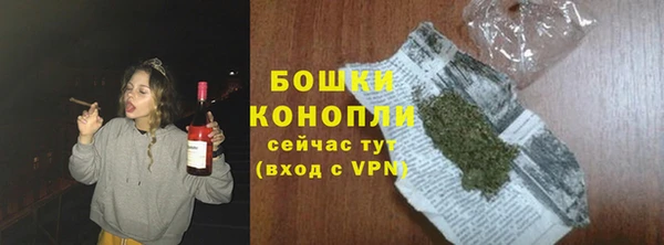 гашик Арсеньев