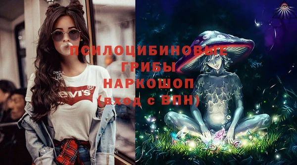 гашик Арсеньев
