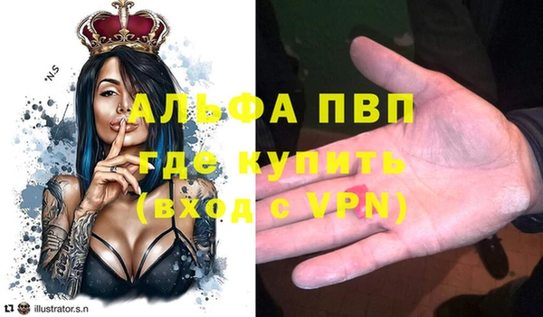 гашик Арсеньев