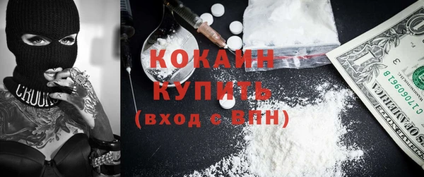 сатива Аркадак