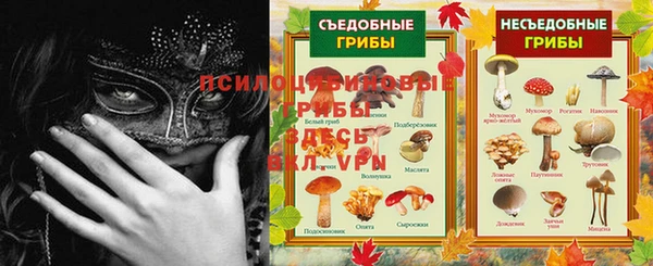 гашик Арсеньев