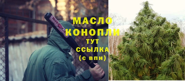 гашик Арсеньев