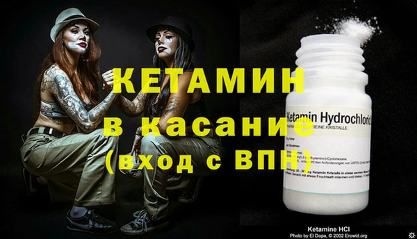 сатива Аркадак