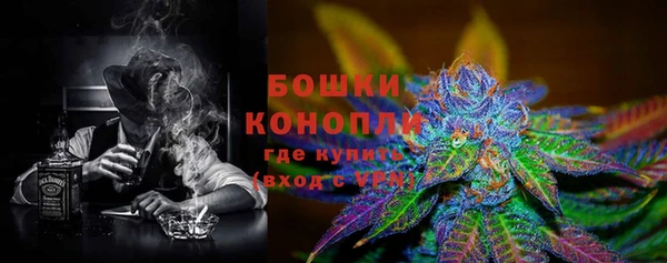 сатива Аркадак