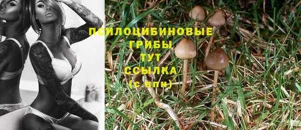 дурь Каменногорск