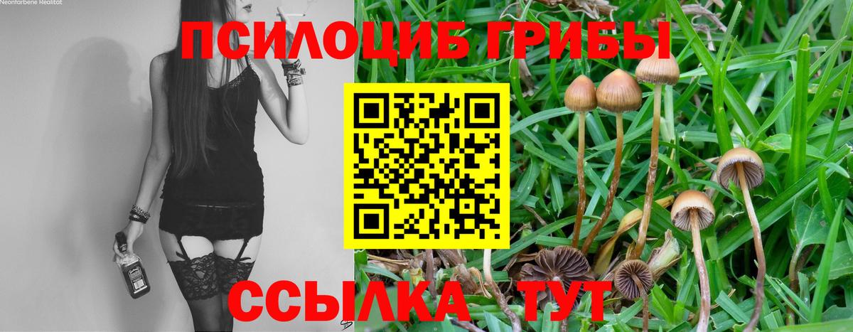 Канабис  Кокаин  NBOMe  Вейп ТГК  MDMA  ГАШИШ  ГАШ  Новодвинск  Вход с VPN  ГЕРОИН  Меф  