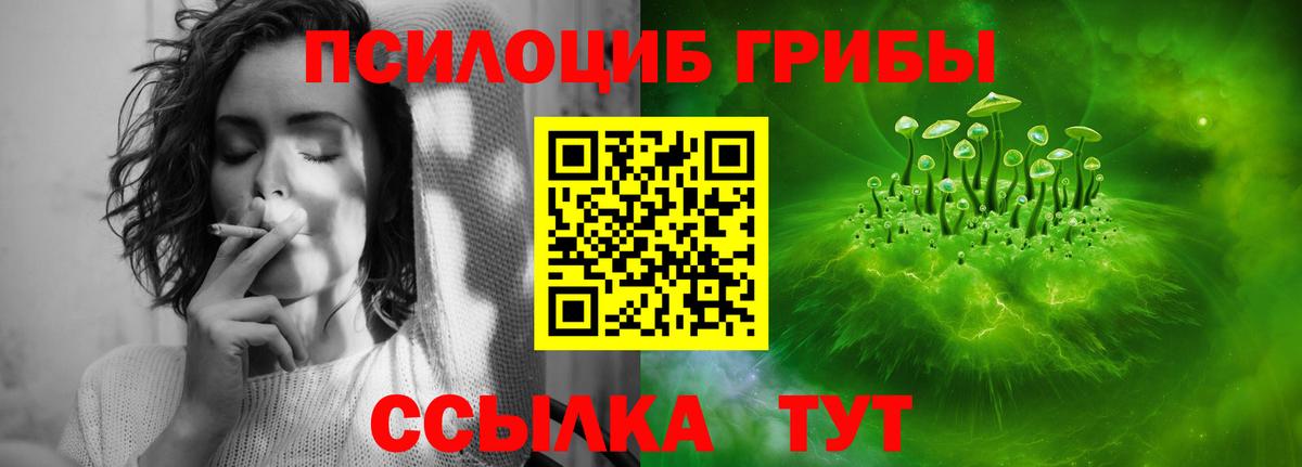 Галлюциногенные грибы Psilocybe  Вход с VPN  Новодвинск  Галлюциногенные грибы мухоморы 